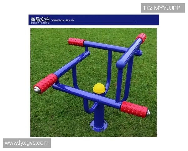 盐山健身器材：盐山地区健身器材品牌与产品特点