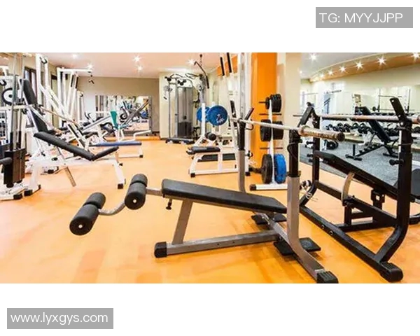 适用于办公场所的小型健身器材推荐 适用于办公场所的小型健身器材推荐